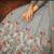 Grey embroidered net salwar