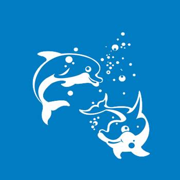 Dolphins 2