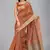 Brown woven silk saree with blouse