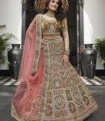 Graceful Olive green zarkan, thread, zari, dori, and sequins embroidered velvet Semi Stitched Lehenga