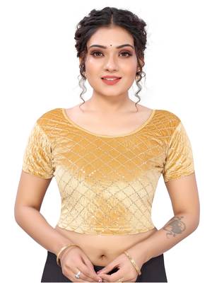 Beige Velvet Lycra Sequence Work  Blouse 1