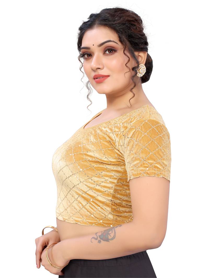 Beige Velvet Lycra Sequence Work  Blouse