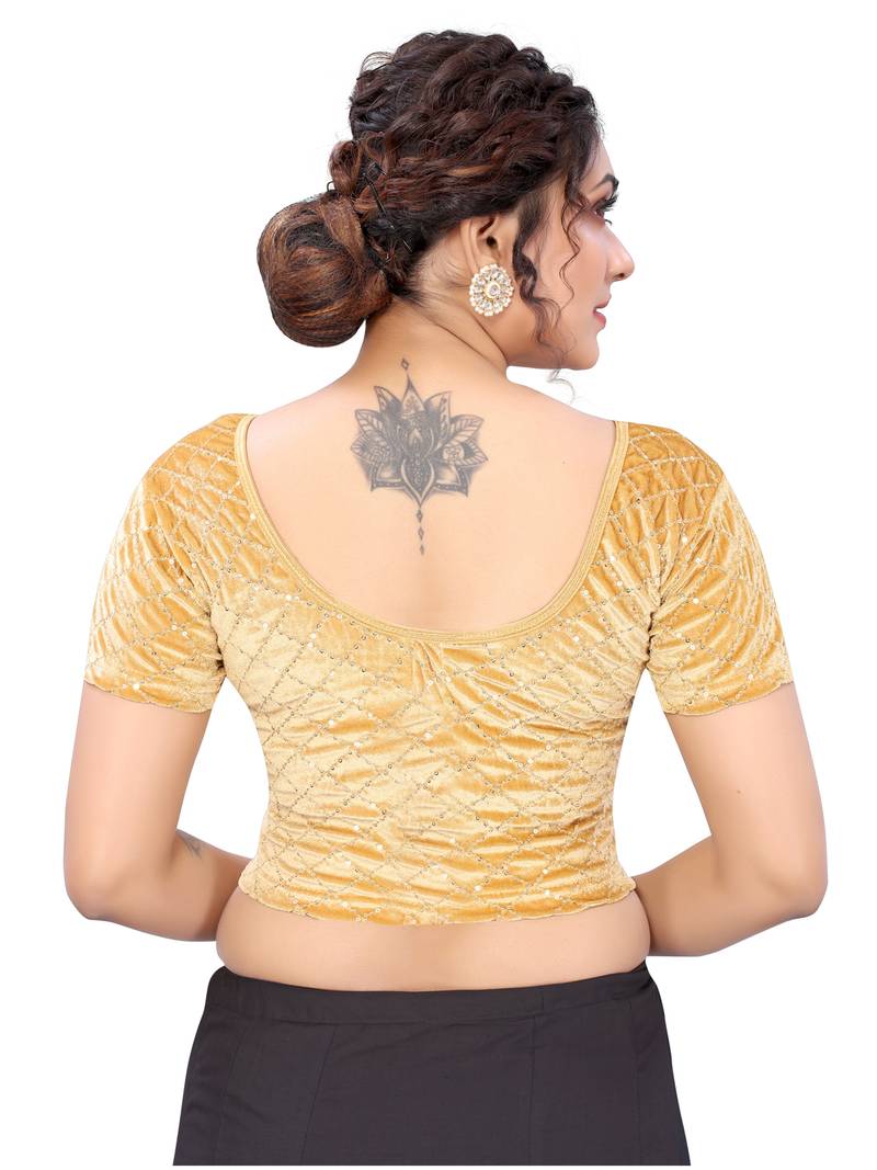 Beige Velvet Lycra Sequence Work  Blouse