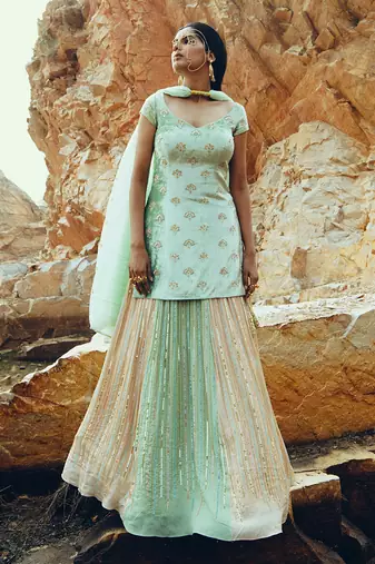 Multi-Colour Lehenga