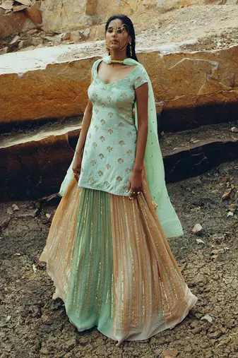 Multi-Colour Lehenga