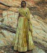 Golden Yellow Velvet Lehenga