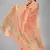 Peach woven silk saree with blouse