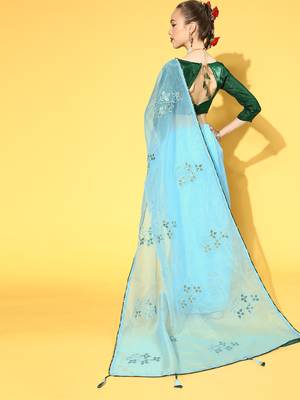 Sky blue printed organza saree with blouse 2