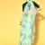 Light parrot green printed organza saree with blouse