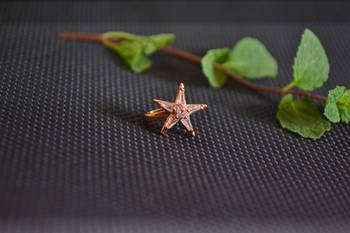  Designer gold plated multi diamond nosering or nose pin 1