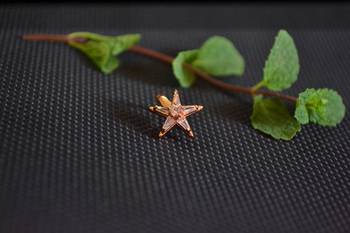 Sizzling gold floral diamond cubic zirconia clipon nose-ring or nosepin 1