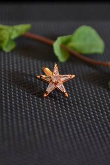 Sizzling gold floral diamond cubic zirconia clipon nose-ring or nosepin