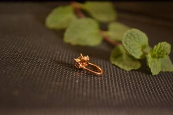 Sizzling gold floral diamond cubic zirconia clipon nose-ring or nosepin 2