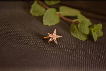 Sizzling gold floral diamond cubic zirconia clipon nose-ring or nosepin 2