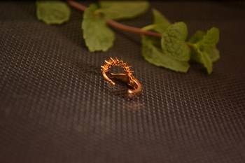 Designer Gold diamond nosering or nosepin 3