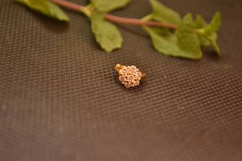 Designer Stone Gold nose-ring or Nose Pin 2