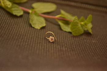 Designer Stone silver nose-ring or Nose Pin 1