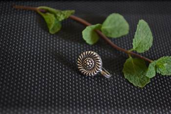 Silver Designer clip or clipon oxidised nosering or Oxidized nosepin 2