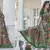 Green patola weaving silk designer saree