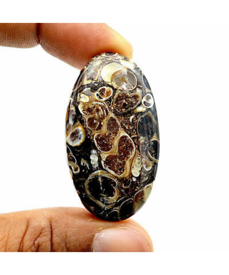 Turritella Agata Pietra preziosa sciolta Cabochon Cristallo di guarigione...