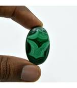 20,5 carati Turritella Agata Pietra preziosa sfusa Cabochon Cristallo...