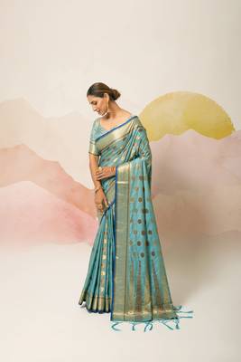 Sky blue woven silk saree with blouse 2