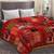 King Size Bohemian Patchwork Quilt Kantha Quilt Handmade Vintage Quilt Boho Bed