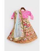 Wine Embroidery Velvet Lehenga Choli And Dupatta