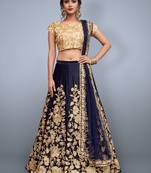 Navy blue Velvet Lehenga Choli With Soft Net Dupatta
