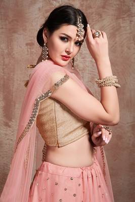 Elegant Baby pink Color Soft Net base Flared Lehenga Choli 3