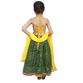 Aglare Beautiful cotton  lehenga choli,with brocade blouse Green 2