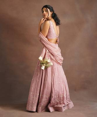 Blush Pink Jhal Work Lehenga  3