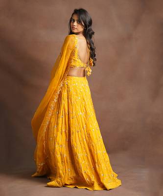 Mustard Yellow Jhal Work Lehenga  2