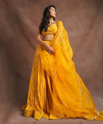 Mustard Yellow Jhal Work Lehenga  1