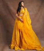 Mustard Yellow Jhal Work Lehenga 