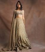 Dark Olive Jhal Work Lehenga 