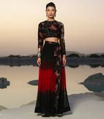 Ameera Magical Sleeve Top With Hued Skirt Set