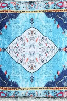 Eyda Digital Print Multi Color Velvet Reversible Cushion Cover Set of 2