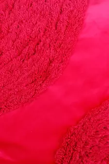 Eyda Super Soft Velvet Fuchsia Color Set of 2 Cushion Cover