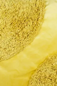 Eyda Super Soft Velvet Yellow Color Set of 2 Cushion Cover