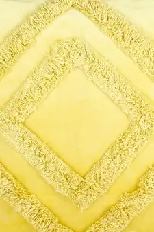 Eyda Super Soft Velvet Yellow Color Set of 2 Cushion Cover