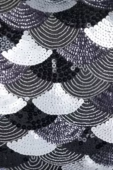 Eyda Black and Silver Embellished Set of 2 Cushion Cover