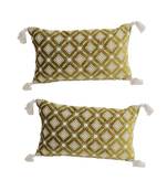 Eyda Super Soft Green Color Set of 2 Embroidered Cushion Cover