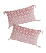 Eyda Super Soft Pink Color Set of 2 Embroidered Cushion Cover