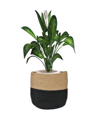 Jute Basket | Black Bottom | 12x12x12 Inches | Pack of 1 2