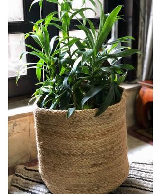 Storage Basket | Plain | 12x12x12 | Pack of 1 2