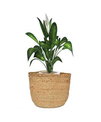 Storage Basket | Plain | 12x12x12 | Pack of 1 3