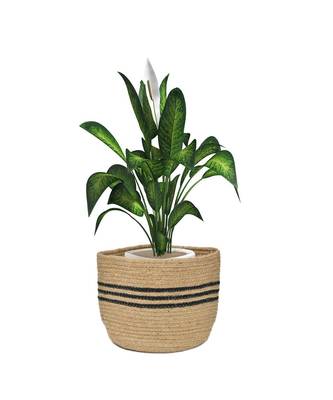 Jute Basket, Black Circle, Small, 6 Inches, Pack of 1 3