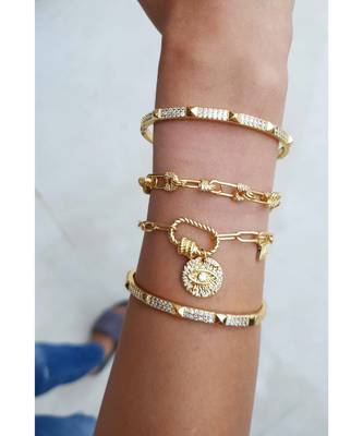 Yellow Gold Plated Liona Charm Bracelet 2