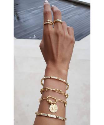 Yellow Gold Plated Liona Charm Bracelet 3